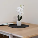 Revliving Premium Horn Apartment Rosenburg