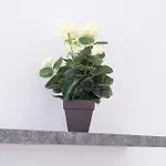 Apartment Revliving Premium Horn Rosenburg