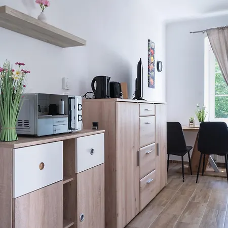 Revliving Premium Horn Apartmán *