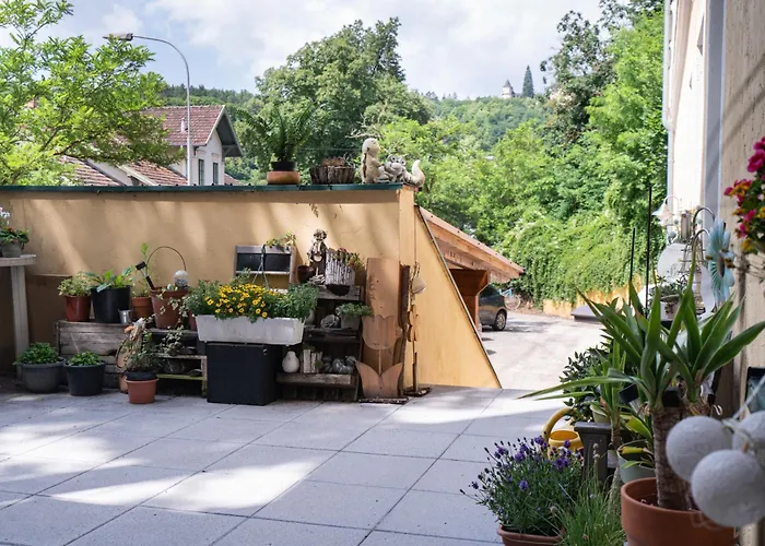 Revliving Premium Horn *