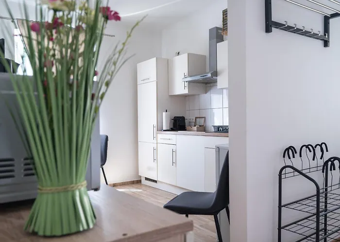 Revliving Premium Horn *