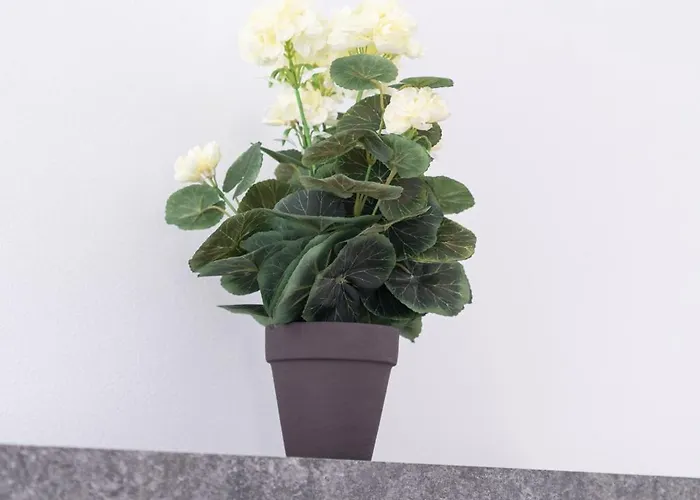 Lägenhet Revliving Premium Horn Rosenburg