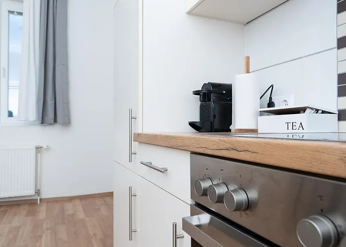 Revliving Premium Horn * Rosenburg